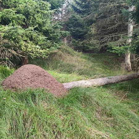 6 Person In Lokken-by Traum *